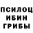 Псилоцибиновые грибы прущие грибы Pierre Castagne