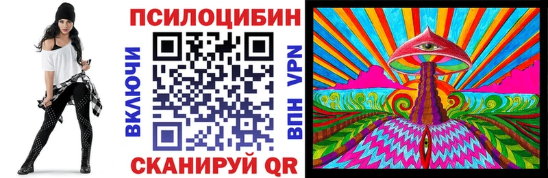 купить наркотики цена  Зея  Псилоцибиновые грибы Psilocybine cubensis 